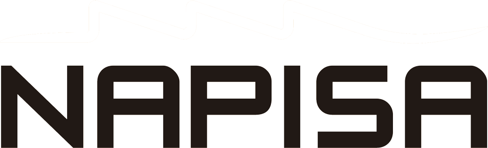 Logo Napisa