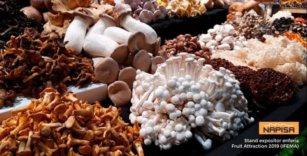 Napisa y las necesidades logísticas de la industria alimentaria