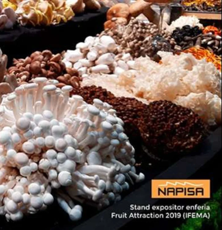 Napisa y las necesidades logísticas de la industria alimentaria